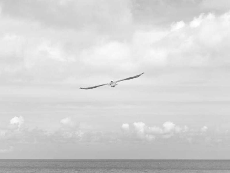 Private Jet at Twilight Airport (Neo-Impressionist Modern)