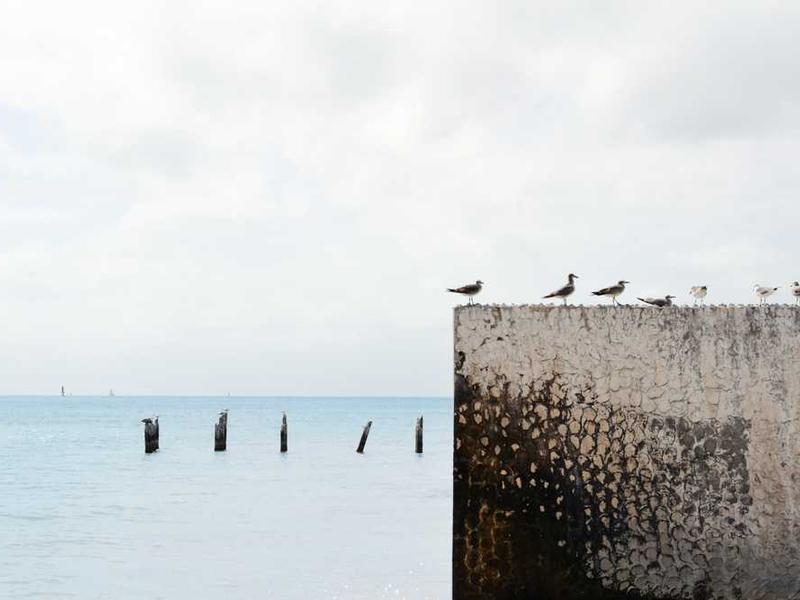 Autonomous Cargo Ships at Port (Modern Expressionist Oil)