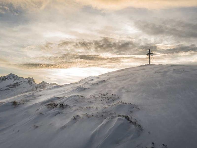 Vertical Forest Skyscraper (Gauguin Post-Impressionist)