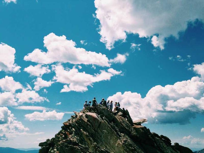 Biometric Security Checkpoint (Gauguin Post-Impressionist)