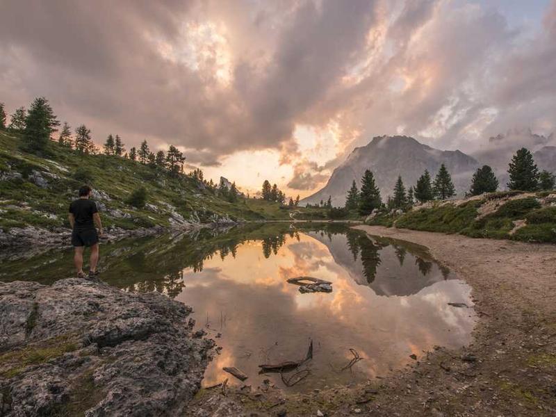 Vertical Forest Skyscraper (Manet-style Impressionism)