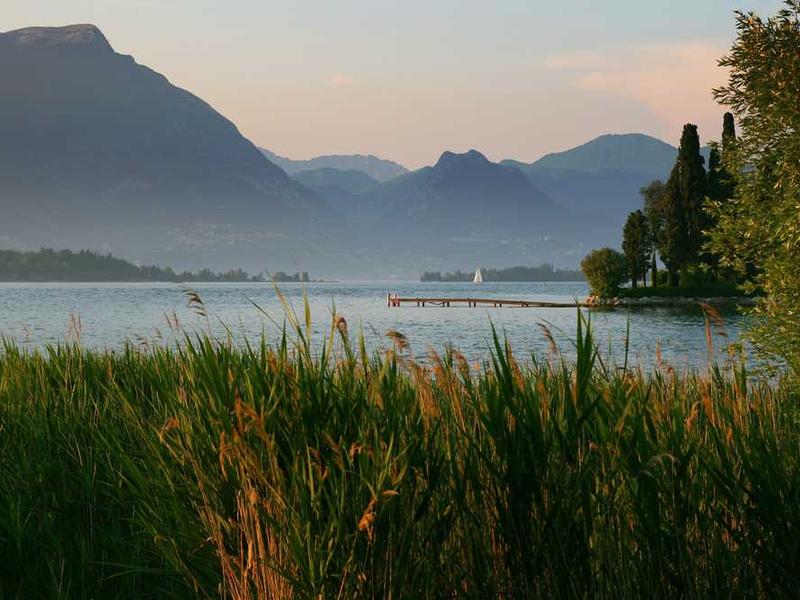 Wind Farm Against Storm Clouds (Neo-Impressionist Modern)