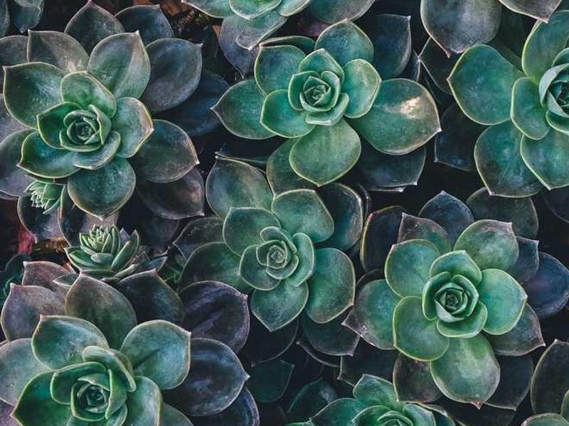 Server Farm in Digital Fog (Modern Expressionist Oil)