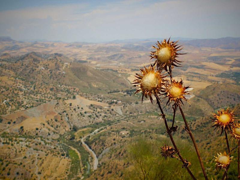 Vertical Farm Towers in Morning Light (Modern Expressionist Oil)