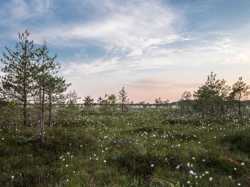 Space Tourism Launch Pad (Gauguin Post-Impressionist)