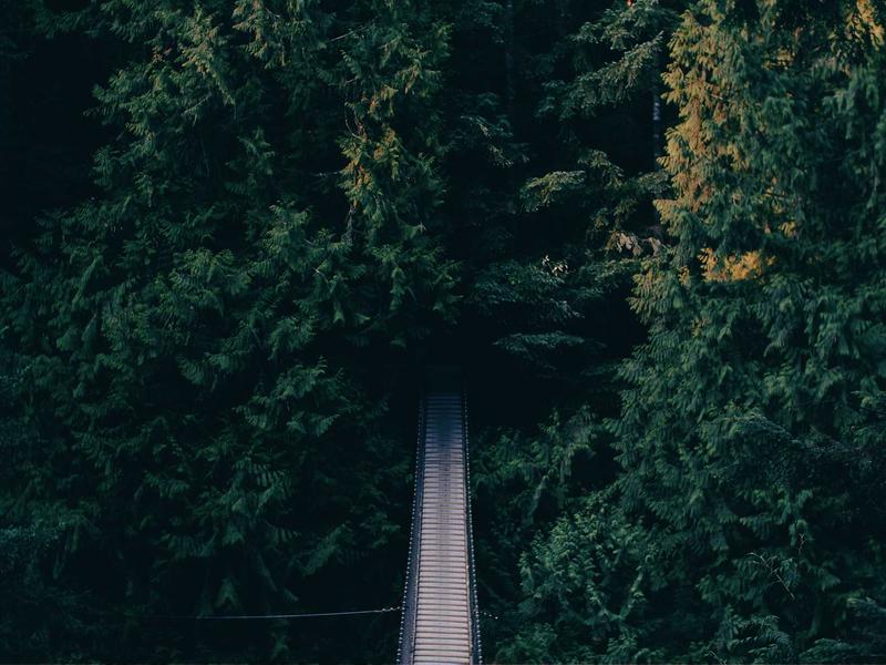 Vertical Forest Skyscraper (Modern Expressionist Oil)