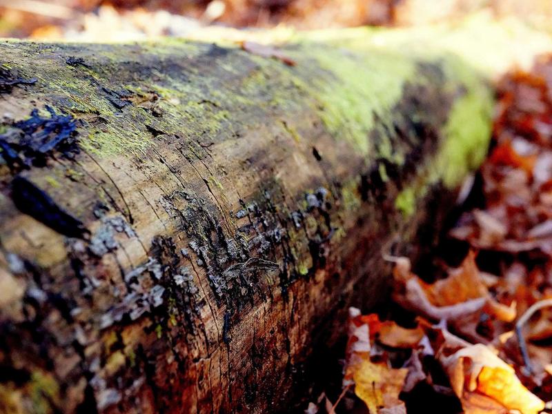 Cryptocurrency Mining Warehouse (Gauguin Post-Impressionist)