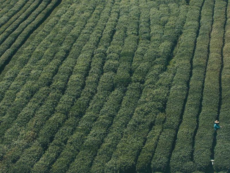 Drones Dancing Over Metropolitan Rooftops (Gauguin Post-Impressionist)