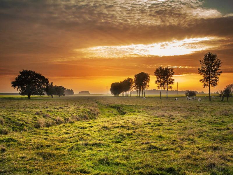 High-Speed Train Through Digital Landscape (Contemporary Fauvism)