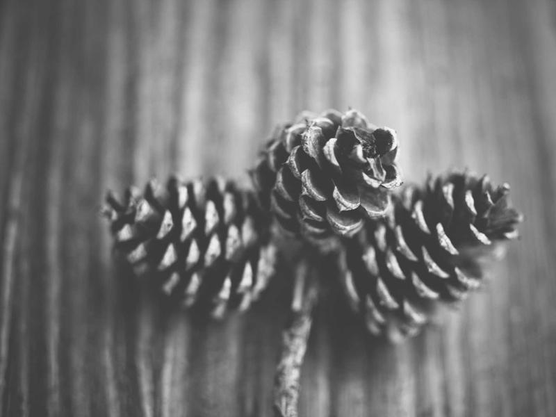 Formula 1 Racing Circuit (Manet-style Impressionism)