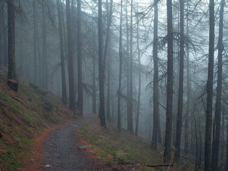 Biometric Security Checkpoint (Urban Impressionism)